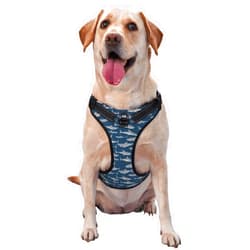 Aiyoolee Breathable Dog Harness Vest Leash Set, No Pull No Choke Reflective Puppy Dog Harness with Easy Control Handle Mesh Pads for Walking Training Running, Cute Shark Print Dog Harness