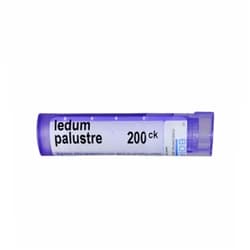 Boiron Ledum Palustre, Homeopathic Medicine for Insect Bites, White, 200ck, 80 Count 200ck 80 Count (Pack of 1)