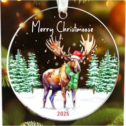 Lucagift Moose Ornament - Moose Gifts for Lovers, Women, Men - Funny Animals Ornaments for Christmas Tree - Animals Themed Gifts - Acrylic Christmas Ornament 2025