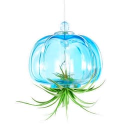 OtGalk Handcrafted Blown Glass Jellyfish Hanging Planter – Unique Air Plant Holder, Sea Glass Hanging Planter for Distinctive Terrarium Decor, Perfect for Garden, Porch, or Windowsill (No Plants)