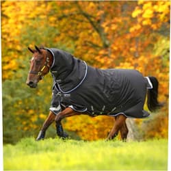 HORSEWARE Ireland Amigo Bravo 12 Plus Medium Weight Waterproof Breathable Horse Turnout Blanket, 250G, Black/Strong Blue/Black, 87