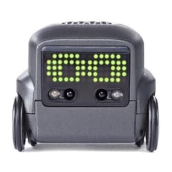 Boxer - Interactive A.I. Robot Toy (Black) with Remote Control, For Ages 6 & Up