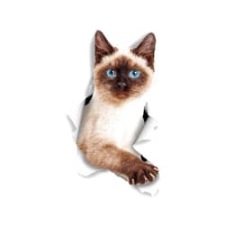 Winston & Bear 3D Cat Stickers - 2 Pack - Breakout Siamese Cat Decals for Wall - Stickers for Bedroom - Fridge - Toilet - Room - Retail Packaged Blue-Eyed Siamese Cat Stickers