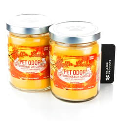 Ballard Products Specialty Pet Odor Exterminator Fall N Leaves Scented Candle Pack of 2 - Pet Odor Candles - Bundle with Ballard Products Air Freshener