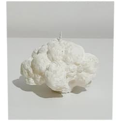 Su Perisi Mum Atölyesi Broccoli Candle, Cauliflower Candle (Cauliflower (White))