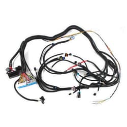 Kessocco 4L60E Standalone Wiring Harness, 4L60E Stand Alone Engine Wire Harness Fits for 1997-2006 DBC LS1 Vortec Engine 4.8L 5.3L 6.0L W/4L60E Transmission Drive by Cable EV1 EV6 Injector Plug
