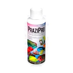 Hikari USA Inc. Prazipro - Safest Parasite Treatment 1oz