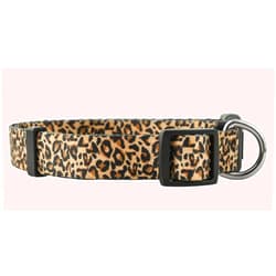 Native Pup Leopard Print Dog Collar for Girly Gifts, Female Puppy, Cute Designer African Animal Pattern (Small, Leopard)