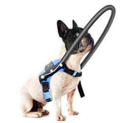 LetPetRun Blind Dog Harness, Guiding Halo with Protective Vest - Adjustable Support Harness to Calm & Guide Blind Pets, Confidence Building Leash Attachment for Safe Walking and Training (XS)