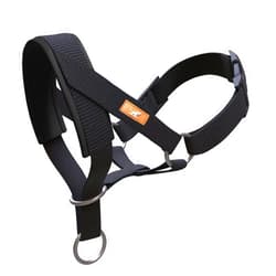Wintchuk Dog Head Collar, Head Collar with Fabric Padded, Adjustable Training Tool Stop Dog's Pulling (L, Black)