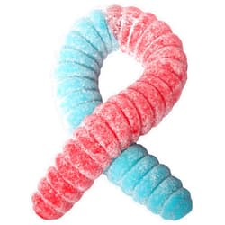 The Gummy Bear Guy | SOUR World's Largest Gummy Worm | Cherry/Blue Raspberry (Cherry/Blue Raspberry)
