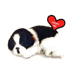 Plenty Gifts Precious Petzzz Border Collie - Pet Mate/Nap Breathing Life Like Sleeping Dog in Bed Sleeping Pet