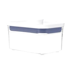 OXO Good Grips POP Container - Airtight Food Storage - 0.6 Qt Rectangle (Set of 4) for Tea and More