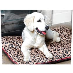 Shires Digby & Fox Waterproof Dog Bed, Leopard