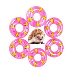 OCHSTIN 3.74 Inch Small Animal Hedgehog Fancy Mouse Bath Collar Ring Yellow Duck Transparent Swimming Rings Hamster Swim Life Jacket Float Coat Photo Shoot Toy Cage Accessories(6 Pack) (Pink)