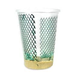 DBDPet 25ct Live Hornworms by DBDPet | Live Arrival is Guranteed | Low Food (2