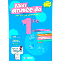 Sophie Pailloux-Riggi,Jacqueline Turgis,Magali Domain,Norbert Dubouis,Sébastien Piecuch,Bénédicte Zielewski,Loïc Hamandjian,Bruno Lavigne,Denis Regaud,Fabien Aoustin,Claire Vittecoq,Alejandra Chulia Jordan Mon Année de 1re Enseignements communs