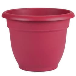 Bloem Ariana Self Watering Planter, 8