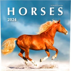 Favor Parts 2024 Horses Hangable Wall Calendar - 12