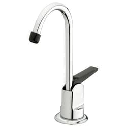 Homewerks Worldwide 3310-160-CH-B-Z Single Hole 1-Handle Low-Arc Drinking Water Faucet, Chrome Finish