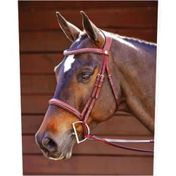 Dover Saddlery Ergonomic Hunter Bridle - Oakbark - Horse-F/S