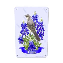 BIGYAK Texas State Mockingbird and Bluebonnet Flower Iron 8X12 Inch Vintage Look Decoration Art Sign for Home Kitchen Bathroom Farm Funny Wall Decor