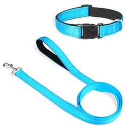 Joytale 12-16 inches Dog Collar and 6FT Leash, Reflective Soft Neoprene Padded Pet Collars and Leashes for Small Dog