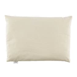 Bucky 100% Cotton Buckwheat Filled Pillow Collection, 1 Count (Pack of 1), Natural Twill
