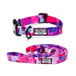 Wolfgang Man & Beast Wolfgang Premium USA Webbing Dog Leash and Collar Set, Daydream Print, Small