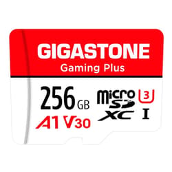 Gigastone 256GB Micro SD Card, Gaming Plus, Nintendo-Switch Compatible, 4K UHD Video Recording (MSD-GamingPlus-256GB-1PK)