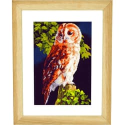 Lanarte PN-0146814 Owl, Pack of 1