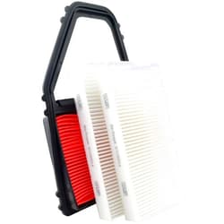 Bi-Trust Engine and Cabin Air Filter kit,Replace Fram CA8911,CF10135,Compatible with Honda Civic Acura EL 1.7L 2001 2002 2003 2004 2005,2-Pack