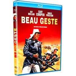 Divisa HV Beau geste