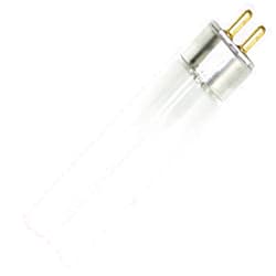 GE 15987 6-Pack 8-watt 12-Inch T5 Luz fluorescente foco, F8T5, 8 watts