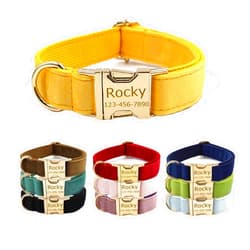 YUNMARY Personalized Velvet Dog Collars with Pet Name Phone Number Engraved, Custom Adjustable Soft Collar with Metal Buckle for Small Medium Large Dogs, Dog Leash and Bow Tie Available -Ginger
