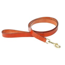 Shires Digby & Fox Flat Leather Dog Lead (Tan, Medium)