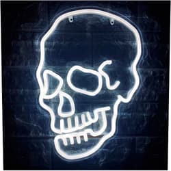 MOUOGO Skull Neon Sign Neon Skull Light Ghost Head Neon Sign Art Light White Halloween Christmas Vibes Led Gaming Lights Light Up Sign for Wall Decor Usb Powered With Switch 13