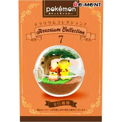 Re-Ment Pokemon Terrarium Collection #7 Random Blind (Box Set of 6)