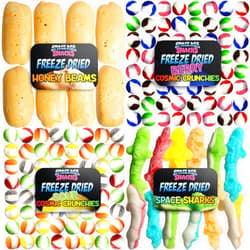Space Age Snacks Freeze Dried Candy Variety Pack with 4 Kinds of Freeze Dried Candy - Sour Cosmic Crunchies, Honey Beams, Berry Cosmic Crunchies and Space Sharks Shipped in Box for Protection