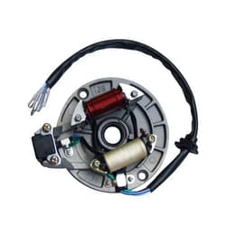 Shamofeng 2 Coil Ignition Magneto Stator for 49cc 50cc 70cc 90cc 110cc 125cc Qiye Taotao SUNL Kazuma SSR Baja ATV Quad Dirt Kick Bike 4 Wheeler
