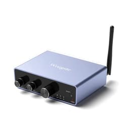 Wrugste Hi-Fi Audio Amplifier PA100 with Bass and Treble Control Bluetooth 5.0 Stereo Audio 2 Channel Amplifier Receiver Hi-Fi Amp 2.0 CH for Home Speakers 100W x 2 (with Power Supply DC15-24V)