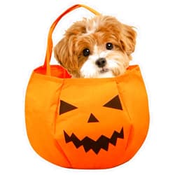 TAKANAP Halloween Candy Bucket, Halloween Pumpkin Candy Bags for Kids, Trick or Treat Tote & Candy Basket, Pumpkin Handbag. Best Gift for Halloween Party Decorations (Large Pumpkin)