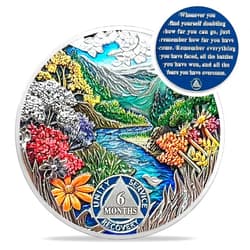 IELCJJ 6 Month Sobriety Coin - Recovery Seasonal Landscapes AA Coins - Summer NA HA AA Chips and Medallions - 1-12 Month Clean and Sober Narcotics Alcoholics Anonymous Gifts for Men Women