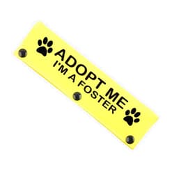 JXGZSO Adopt I’m A Foster Leash Sleeve Wrap Adopt Dog Leash Cover Dog Gift Rescue Gift (I'm A Foster DLS)