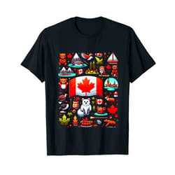 Canadian Culture Canada Heritage Symbols Apparel Vintage Historical Canada Symbols Maple Leaf For Canadian T-Shirt