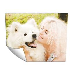 SIGNFORD Custom Wall Paper Small Self-Adhesive Wall Mural Personalized Wall Art with Your Pet Photos Removable Wall Decoration for Bedroom Living Room - 24x32 inches