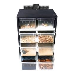 SNKOURIN 8PCS Reptile Feeding Box, Reptile Feeding Cabinet with Heating Pad Thermostat,Transparent Snake Rack Animal Habitat Cage for Small Insect Spider Turtle Cage Lizard, Black