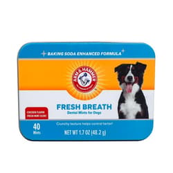 Arm & Hammer for Pets Dental Mints for Dogs, Fresh Breath | Get Fresh Doggie Breath Without Brushing, Way to Fresher Dog Breath | Chicken Flavor, 40 Count (Packaging may vary)