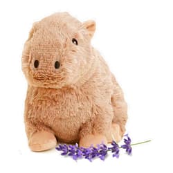 Warmies Microwavable & Weighted Stuffed Animals, Capybara - Heated Stuffed Animal Plushie for Warmth & Comfort - Cute Soft Plush Toys for Adults & Children (Boys, Girls, Babies & Toddlers)
