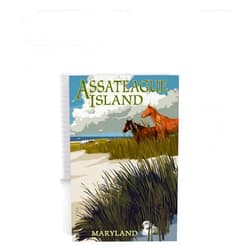 Lantern Press Assateague Island, Maryland, Horses and Dunes (Lined 6x9 Journal, Lay Flat, 193 Pages, FSC Paper)